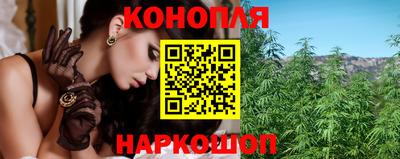 гидропоника Краснознаменск