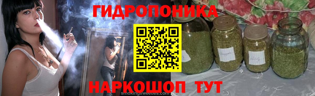 Канабис сатива  Шишки марихуана конопля  Канабис конопля  Кировск  Вход с VPN 
